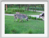 Florida 2005 - 390