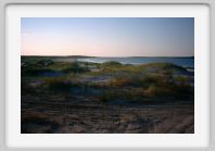 Pict0015