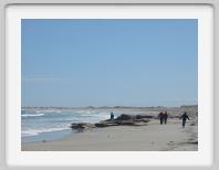 Img_1949